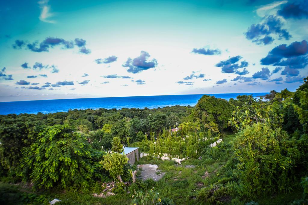 Ackee Tree Sea View Villa Port Antonio Exterior photo